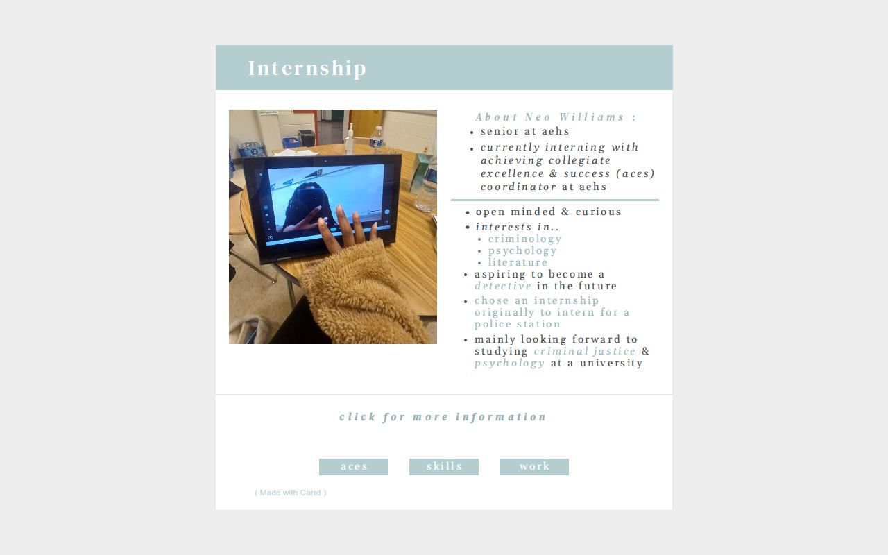 internship portfolio